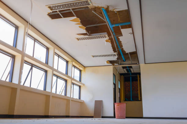 Professional Water damage restoration in CO