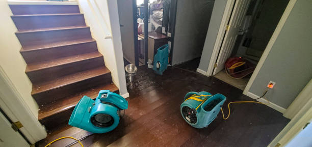 Best Basement water damage restoration  in Evergreen, CO