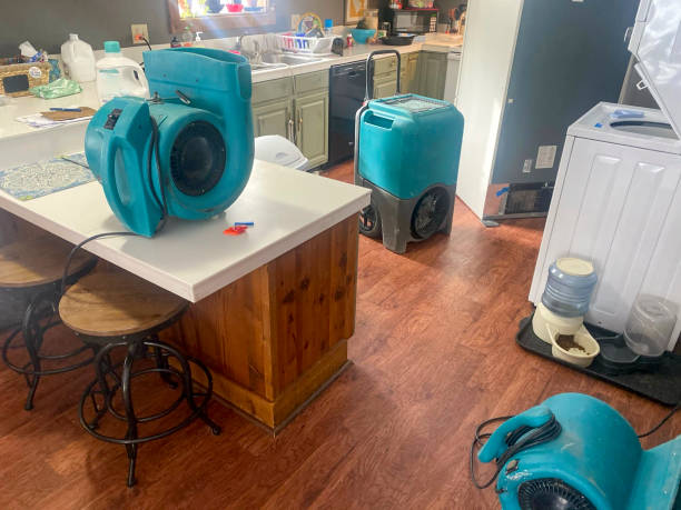 Best Residential water damage restoration  in Evergreen, CO