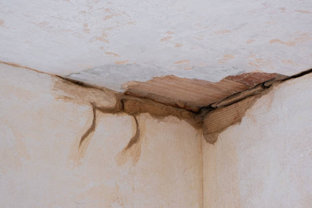 Best Water damage restoration services  in Evergreen, CO