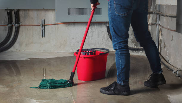 Best Professional water damage repair  in Evergreen, CO