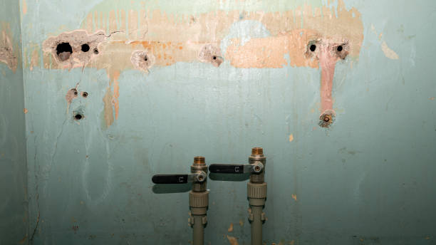 Best 24/7 water damage repair  in Evergreen, CO