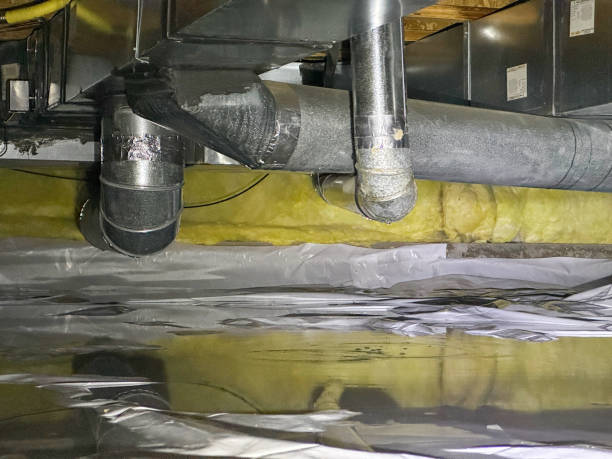 Water damage restoration mold remediation in CO