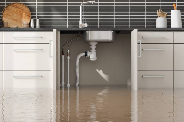 Best Water damage restoration near me  in Evergreen, CO