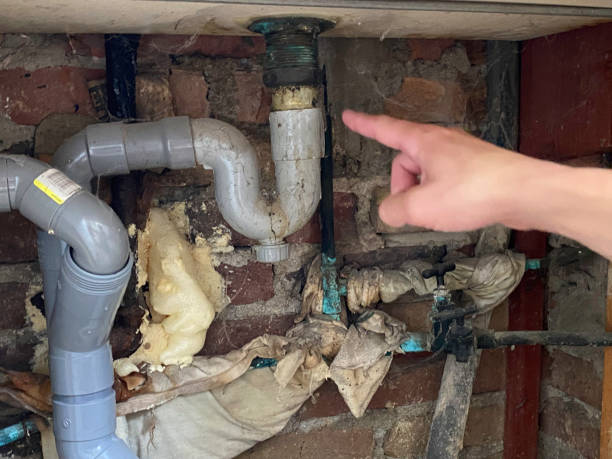 Best Sewage cleanup and water damage restoration  in Evergreen, CO