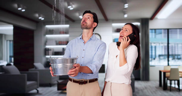 Best Emergency water damage restoration  in Evergreen, CO
