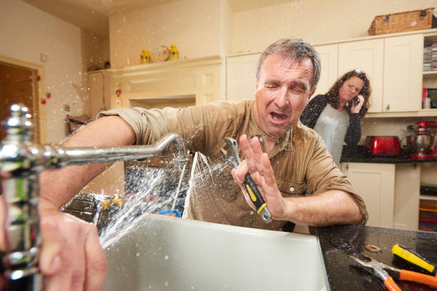 Best Flooded house restoration  in Evergreen, CO